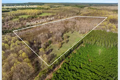 Love Road, Benzonia, MI 49616 - Photo 3