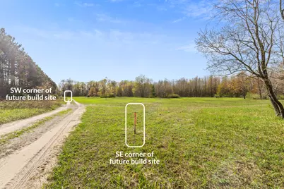 Love Road, Benzonia, MI 49616 - Photo 11