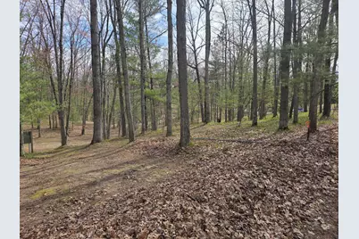 4735 N Alice Lake Drive, Irons, MI 49644 - Photo 17