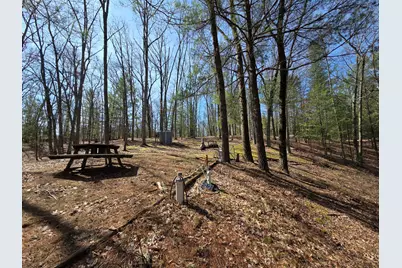 4735 N Alice Lake Drive, Irons, MI 49644 - Photo 13