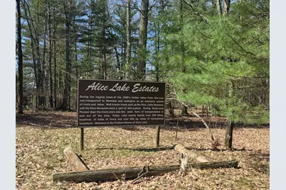 4735 N Alice Lake Drive, Irons, MI 49644 - Photo 29