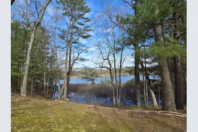 4735 N Alice Lake Drive, Irons, MI 49644 - Photo 1