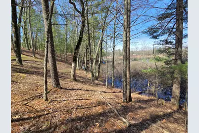 4735 N Alice Lake Drive, Irons, MI 49644 - Photo 15