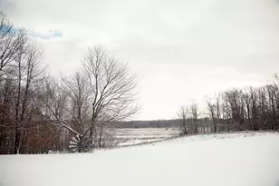 14186 S Mocking Bird Ln, Grant, MI 49327 - Photo 81