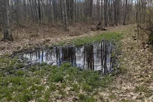 20179 N Coates Hwy, Brethren, MI 49619 - Photo 51