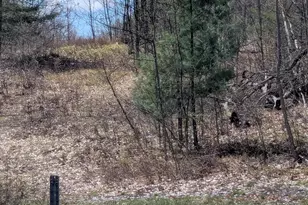 20179 N Coates Hwy, Brethren, MI 49619 - Photo 41