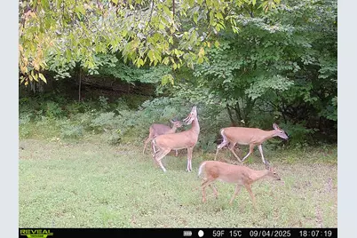 20179 N Coates Highway, Brethren, MI 49619 - Photo 31