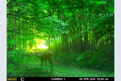 20179 N Coates Highway, Brethren, MI 49619 - Photo 29
