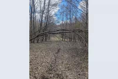 20179 N Coates Highway, Brethren, MI 49619 - Photo 27