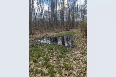 20179 N Coates Highway, Brethren, MI 49619 - Photo 25