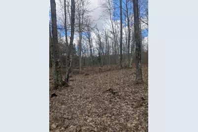 20179 N Coates Highway, Brethren, MI 49619 - Photo 33