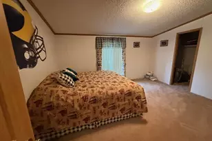 687 N Frank Smith Rd, Luther, MI 49656 - Photo 27