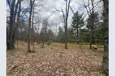 687 N Frank Smith Road, Luther, MI 49656 - Photo 31