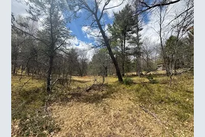 687 N Frank Smith Road, Luther, MI 49656 - Photo 39
