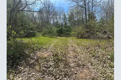 00 S Shepperd Road, Branch, MI 49402 - Photo 7