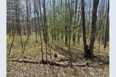 00 S Shepperd Road, Branch, MI 49402 - Photo 5