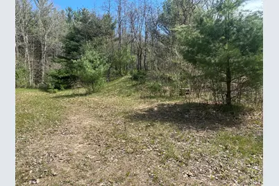 00 S Shepperd Road, Branch, MI 49402 - Photo 11