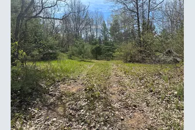 00 S Shepperd Road, Branch, MI 49402 - Photo 9