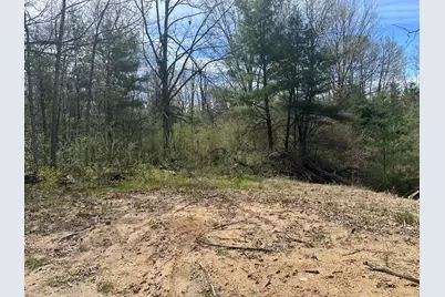 00 S Shepperd Road, Branch, MI 49402 - Photo 5