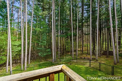 102 Sagamore Trail SE, Lowell, MI 49331 - Photo 47