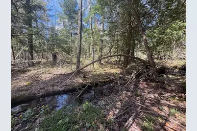 735 N Lakola Road, Leroy, MI 49655 - Photo 11