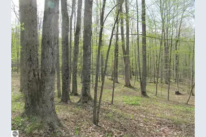 1858 N Kings Highway, Luther, MI 49656 - Photo 15