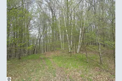 1858 N Kings Highway, Luther, MI 49656 - Photo 3