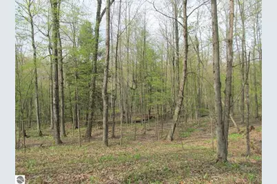 1858 N Kings Highway, Luther, MI 49656 - Photo 21