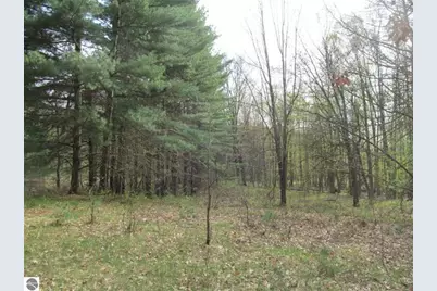 1858 N Kings Highway, Luther, MI 49656 - Photo 23
