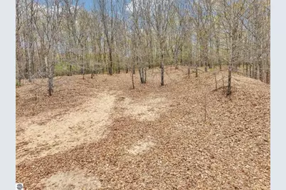 1858 N Kings Highway, Luther, MI 49656 - Photo 11