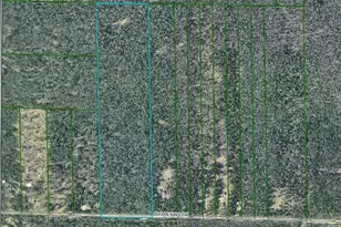 0 Brunswick Ave, Holton, MI 49425 - Photo 1
