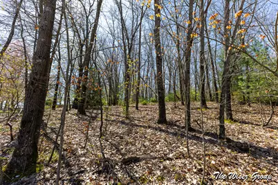 V/L Hawk Dr, Greenville, MI 48838 - Photo 3