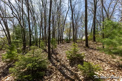 V/L Hawk Dr, Greenville, MI 48838 - Photo 7