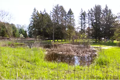 10299 Frost (2 Parcels) Road, Portland, MI 48875 - Photo 37