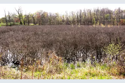 10299 Frost (2 Parcels) Road, Portland, MI 48875 - Photo 41