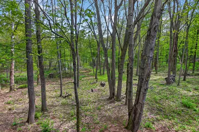 933 Crispell Road, Clark Lake, MI 49234 - Photo 73