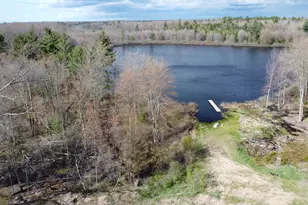 6416 E Rossell Lake Rd, Walkerville, MI 49459 - Photo 21