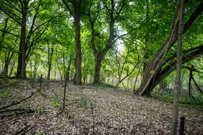 153 W E Avenue, Kalamazoo, MI 49009 - Photo 23