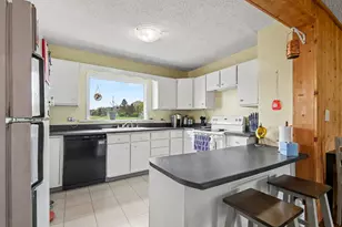 17210 McKinley Rd, Big Rapids, MI 49307 - Photo 3
