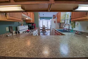 910 Cherrywood Cir, Portland, MI 48875 - Photo 19