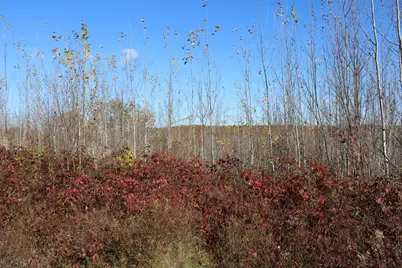 0Vl Railroad Grade Rd, Harrison, MI 48625 - Photo 17