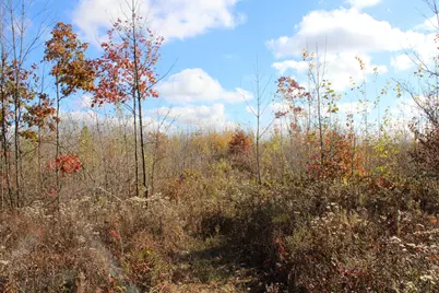 0Vl Railroad Grade Rd, Harrison, MI 48625 - Photo 13