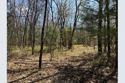 Vl W Almy Road, Howard City, MI 49329 - Photo 3