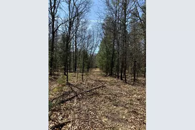 Vl W Almy Road, Howard City, MI 49329 - Photo 5