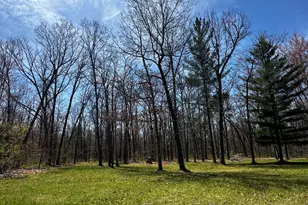6143 W 9 1/2 Mile Rd, Irons, MI 49644 - Photo 23