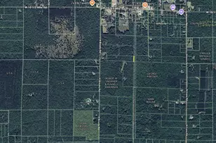 6143 W 9 1/2 Mile Rd, Irons, MI 49644 - Photo 25