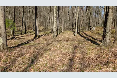 V/L Willow Avenue N #Parcel J, Bitely, MI 49309 - Photo 1
