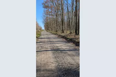 V/L Willow Avenue N #Parcel J, Bitely, MI 49309 - Photo 5