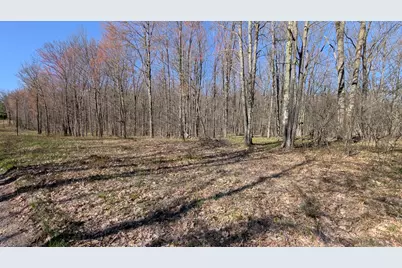 V/L Willow Avenue N #Parcel J, Bitely, MI 49309 - Photo 3