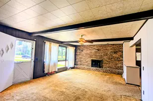 3771 S Walnut Ave, White Cloud, MI 49349 - Photo 7